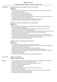 Resume objective examples for accounting, auditing and finance. Accounting Audit Resume Samples Velvet Jobs
