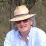 Secrets of spider web strength revealed