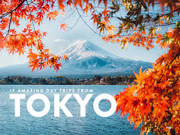 There are so many exciting places to go in tokyo so i've made things easy by breaking them down into the best things to do in each. 12 Of The Best Day Trips From Tokyo Will Fly For Food