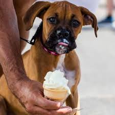 They know that we want to spend time with our dogs and of course, dog owners should follow certain guidelines when eating in a dog friendly restaurant. 9 Chain Restaurants That Have Treats For Dogs Too