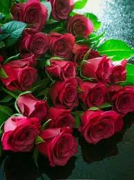 Pin Von Baljeet Auf Roses Wunderschone Blumen Schone Blumen Blumen Blumenstrauss