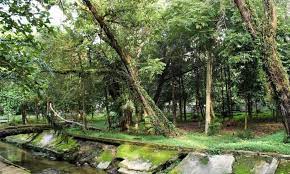 We did not find results for: 30 Tempat Wisata Di Pekanbaru Terbaru Terhits Dikunjungi Andalas Tourism