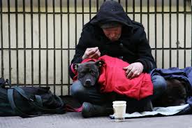 A Homeless Man and His Dog. I apologize for my assumptions | by Nicole Lee  | Age of Empathy | Medium