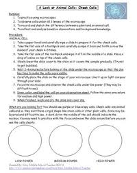 Check spelling or type a new query. Animal And Plant Cells Microscope Lab Onion And Cheek Cells Tpt