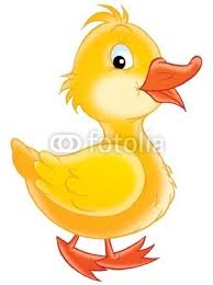 598x844 learn how to draw dewey duck from ducktales (ducktales) step by. Cartoon Duckling Duck Pictures Cartoon Duck Drawing