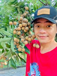 Vườn rau cây trái hơn 20 năm của Giang Còi