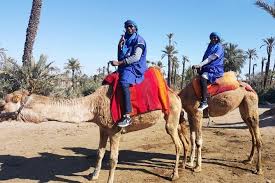 Escape the bustling souks, streets and palaces of marrakech, and climb on the back of a camel to ride through the beautiful palmeraie on the outskirts of the city. Spacetraveller Activity Marrakech Camel Ride Quad Bike
