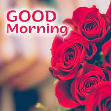 Check spelling or type a new query. Best Good Morning Flowers Images For Ios And Android Good Morning Images Quotes Wishes Messages Greetings Ecards