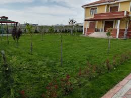 (ücretsiz online şirket kurmak) işlemlerinizi devlet üzerinden kolayca yapabilirsiniz. Trakya Peyzaj Sulama Sistemleri Bitkisel Peyzaj Uygulamalari Periyodik Bakim Hizmetleri Corlu Peyzaj Trakya Peyzaj