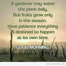 Pin By Sarjit On Good Morning Quotes Good Morning Friends Quotes Morning Inspirational Quotes Good Morning Quotes