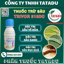 Trivor 310DC