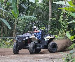 Thank you for visiting www.powersports.honda.com. Buggy Vs Atv Which Is Better Mason Adventures