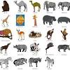African animals isolated on a white background. Https Encrypted Tbn0 Gstatic Com Images Q Tbn And9gcqss0qismpgxgocl5esh8zb7mfh2nvjko5i2qztpbqap3iszrfa Usqp Cau