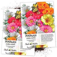 Use pruning shears to remove about half the plant's height. Portulaca Plants Guide How To Plant Care For Portulaca Grandiflora