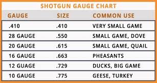 However, the actual diameter of the bore will sometimes vary. 2 0 G A U G E B U C K S H O T S I Z E S C H A R T Zonealarm Results