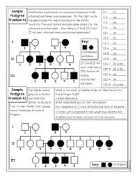 Our digital library saves in multiple locations, allowing you to get the. Pedigree Genetics Doodle Diagrams By Science With Mrs Lau Tpt