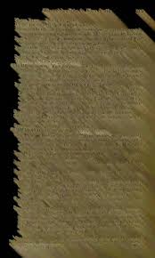 The American journal of science.