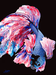 Situé au 6245 boul métropolitain est. Fancy Betta Fish Original Mixed Media Art Mmg Art Studio Fine Art Colorado Gallery