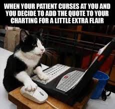 Lmao Everyday In Psych Documentation Is Everything Lol Healthcare Memes Funny Cat Memes Cats