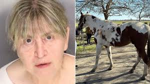 27 dead horses found in California, leading to woman's arrest