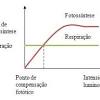 Benefícios do estado fundo de seguro compensação. 1