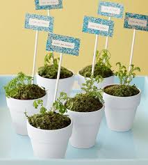 Maybe you would like to learn more about one of these? 16 Pretty Garden Party Ideas To Celebrate Spring Plant Party Party Favors Garden Party