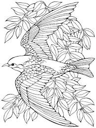 Bird Coloring Pages For Adults Bird Coloring Pages Elephant Coloring Page Coloring Pages
