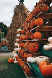 The great pumpkin is an unseen character in the comic strip peanuts by charles m. The Great Pumpkin Farm The February Fox Pumpkin Farm Fall Halloween Decor Fall Vibes