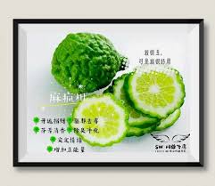 pin on lucky lime 幸運檸檬
