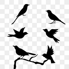 Bird Flying Silhouette Outline Birdie Silhouette Wing Png Transparent Clipart Image And Psd File For Free Download Flying Bird Silhouette Birds Flying Bird Silhouette