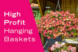 These flowers look adorable in a hanging basket, and are perfect if you are looking to hang your baskets indoors. 5 Best Hanging Basket Annuals To Create Top Quality High Profit Hanging Planters Danziger