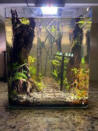 For fish tank hobbyists, replicating nature the way they like is pure delight. Aquascape Railroad Is A Very Cool Aquarium Design Project Boing Boing