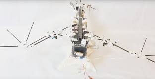 Center of mass (com) of the robot batbot. Caltech S Bat Robot Stretches Its Wings