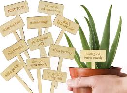 Wonder Home Supply Funny Stakes For Plants Markings Labels Gift For Plant Lovers And Gardeners Amazon Sg Garden