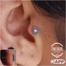 Image result for Tragus koelerioides
