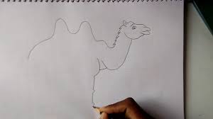 How to draw a camel. How To Draw A Easy Cartoon Camel For Kids Step By Step