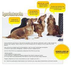 havlatavla com kopegime es ariyorum home facebook
