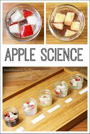 Finding easy science activities for preschoolers can be difficult. Apple Science Experiment For Preschool