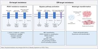 Image result for ROS1 Inhibitor