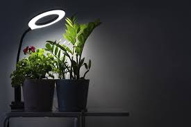 In an artificial environment, you can provide all the elements necessary for plant growth. Ultimate Guide To Growing Houseplants With Artificial Light Petal Republic