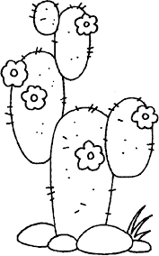 Welcome to our cacti database where we list many varieties of cacti. Cactus In The Desert Coloring Pages Best Place To Color Coloring Pages Printable Coloring Pages Blog Colors
