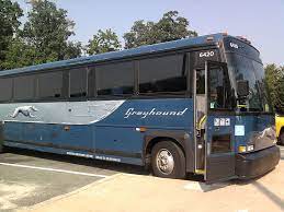 Greyhound Expands To Mexico Offers 1 Promo Fare Greyhound Bus New York Travel Bus Travel