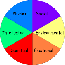 4.3 out of 5 stars 161 ratings. Project 1 My Eportfolios Hed44