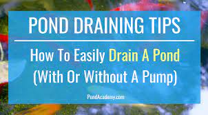 Here you may to know how to empty a pond with a pump. How To Easily Drain A Pond With Or Without A Pump