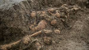 But history buffs won't want to give this place a miss: Mass Graves Investigated At Mohacs A Key Historical Site For Hungarians Xpatloop Com