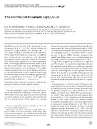 Check spelling or type a new query. Pdf The Cell Wall Of Fusarium Oxysporum