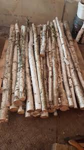Birch Branches For Sale Birch Sticks Branches Birch Tree Decor Home Made Soap Birch Branches