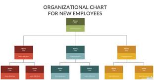 org chart best practices for effective organizational charts