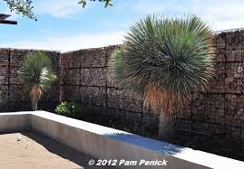 A locally run hotel since 1959, bob harris of lake flato architects reinvigorated the thunderbird's classic 50's horseshoe shape and interior courtyard for its 2005… read more be a marfa insider: Ten Eyck Garden Beckons At Thunderbird Hotel In Marfa Digging