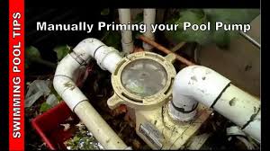 Filters use sand, cartridges or diatomaceous earth, also known as de, to remove contaminants from the pool. How To Troubleshoot Your Pool Pump Quick Easy